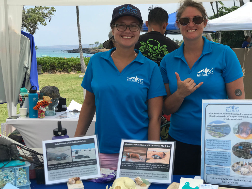 Monk seal table Hapuna beach world ocean day