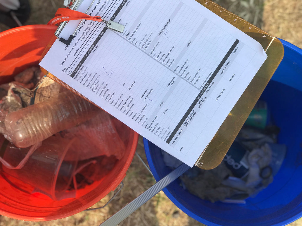 Hapuna beach cleanup tally