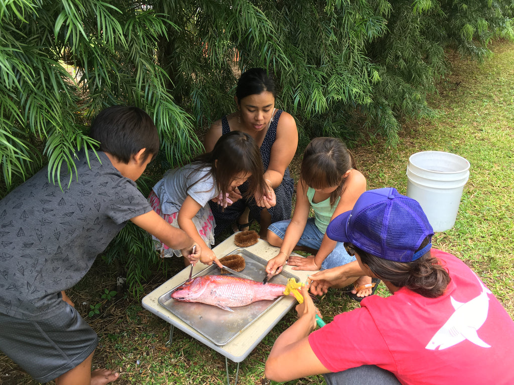 Washing and cleaning our Fish after Gyotaku so we can prepare it for dinner