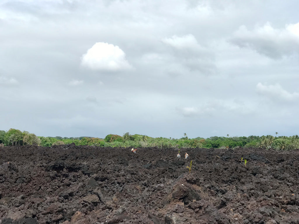 Hiking over fresh lava to pohoiki beach Big Island hawaii