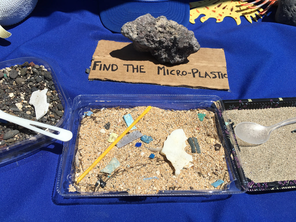 Find the micro plastic activity