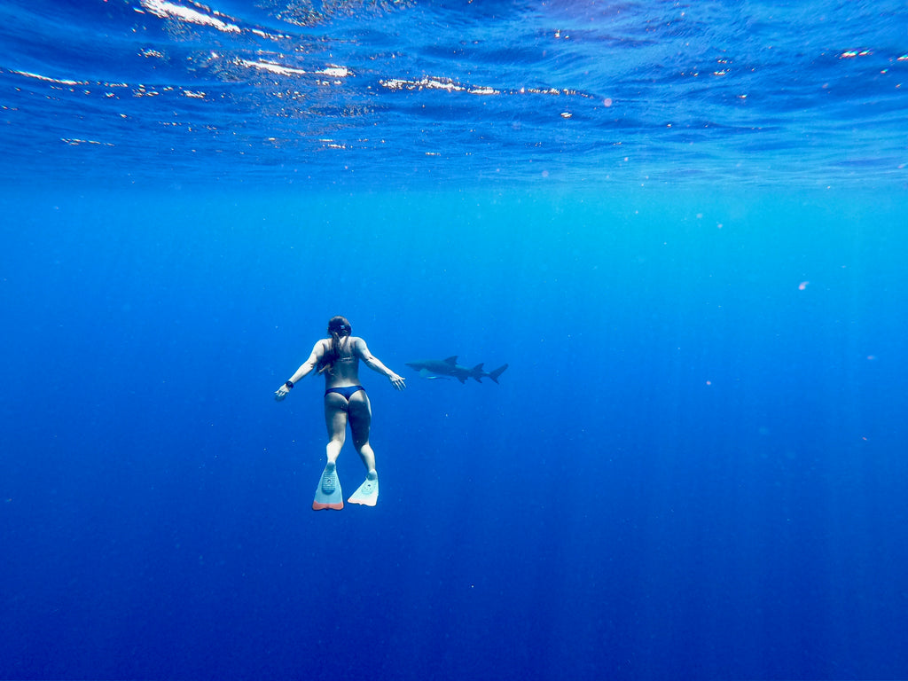 Christa Russell swimming with sharks tetiaroa 