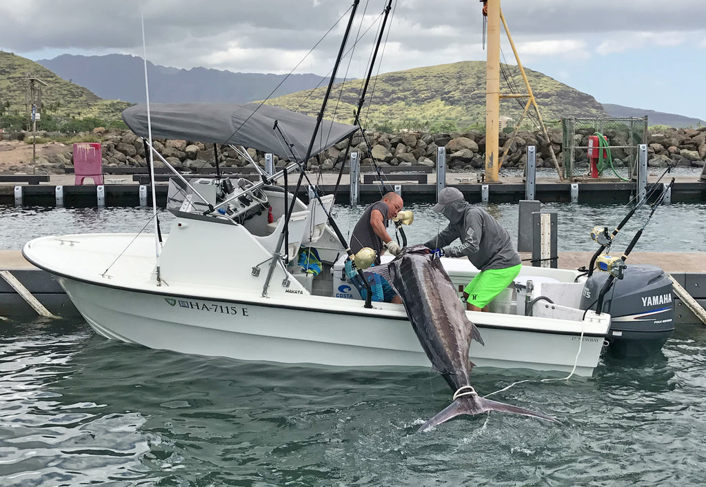 Dragging the marlin beast on board kagamis go fishing 