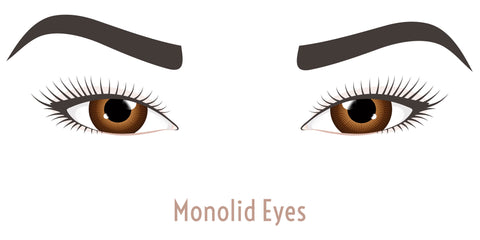 Monolid Eyes do not have a crease when the eye is open.