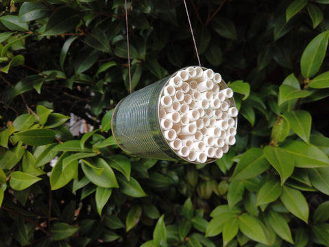 Bee hotel from paper straws