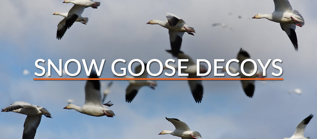 snow goose decoys