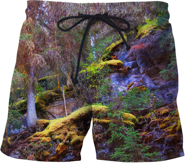 Magic Mountain Swim Shorts