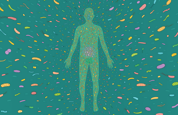 what is the human microbiome