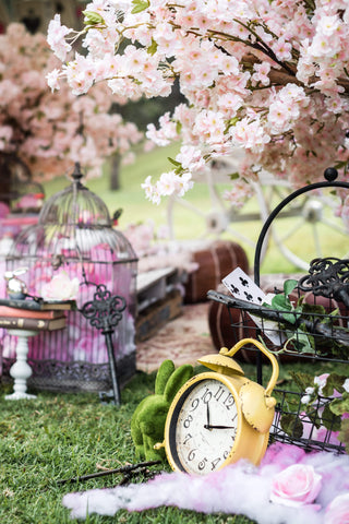 mad hatters tea party with luxury pink tent for hire gold coast