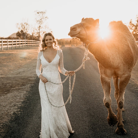 camel and bride with stunning outback sunset