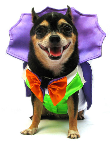 Dogula