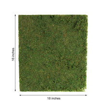 Preserved Natural Moss Wall Sheet Roll, Moss Landscape Panel