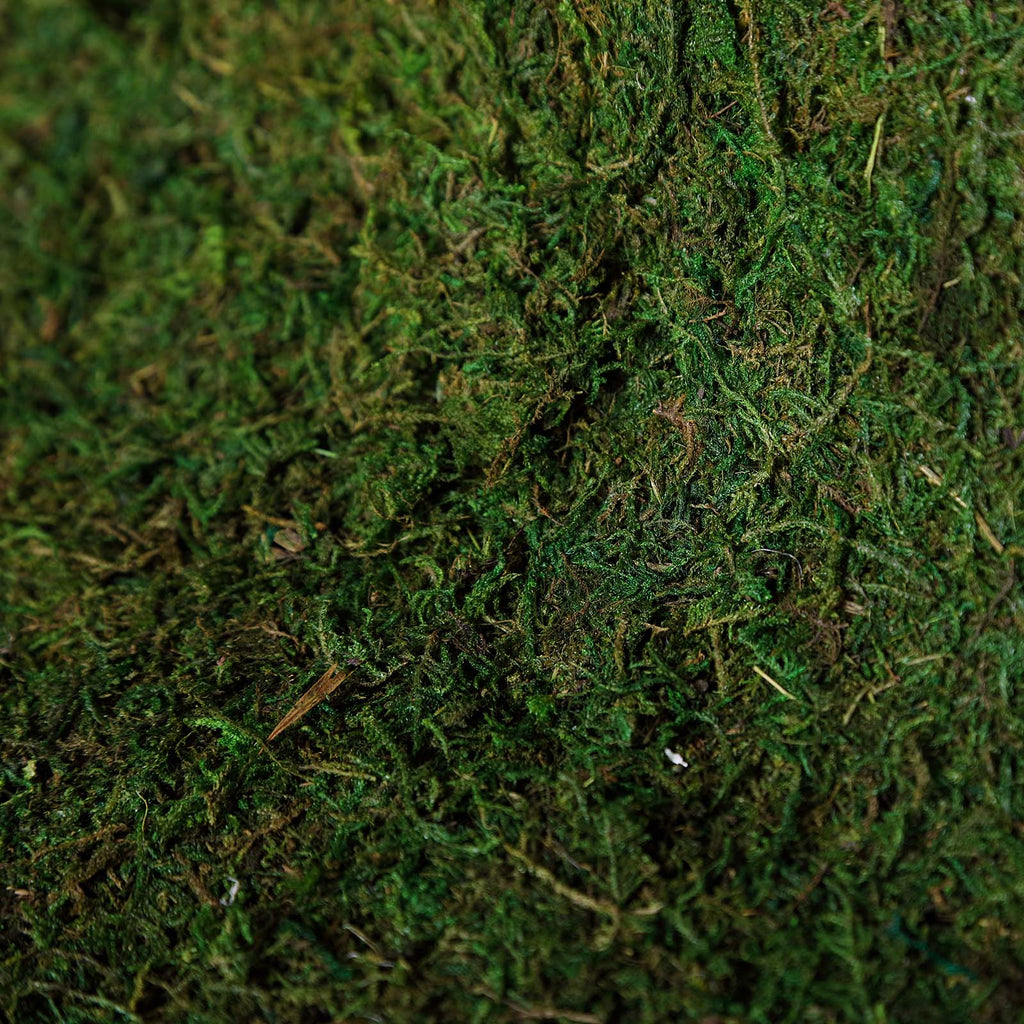 Details about   GREEN 18" x 16" Natural Preserved Moss Sheet Wedding Party Crafts Decorations 