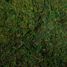 Preserved Natural Moss Wall Sheet Roll, Moss Landscape Panel