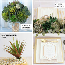 3 Pack | 18inches Assorted Artificial Aeonium Spray Succulent Air Plants