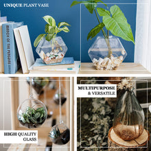 3 Pack - Egg Shaped Glass Wall Vase - Indoor Wall Mounted Planters - Hanging Terrariums