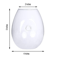 3 Pack - Egg Shaped Glass Wall Vase - Indoor Wall Mounted Planters - Hanging Terrariums