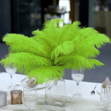 12 Pack | 13 inches -15 inches Green Natural Plume Ostrich Feathers Centerpiece