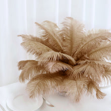 12 Pcs | Real Ostrich Feather Fringe Trim With Satin Ribbon Tape - Natural