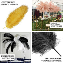 Set of 12 | 24"-26" White Natural Plume Ostrich Feathers Centerpiece