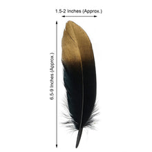 30 Pack - Metallic Gold Dipped Black Real Goose Feathers - Craft Feathers for Party Decoration