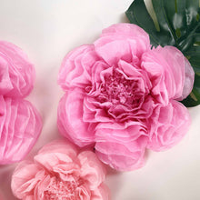 6 Pack Blush & Pink Giant Paper Flowers Peony Assorted Sizes -  12" | 16" | 20"#whtbkgd