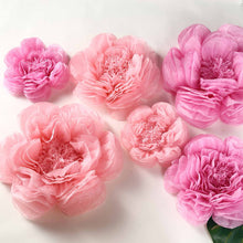 6 Pack Blush & Pink Giant Paper Flowers Peony Assorted Sizes -  12" | 16" | 20"
