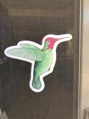 hummingbird screen door magnets