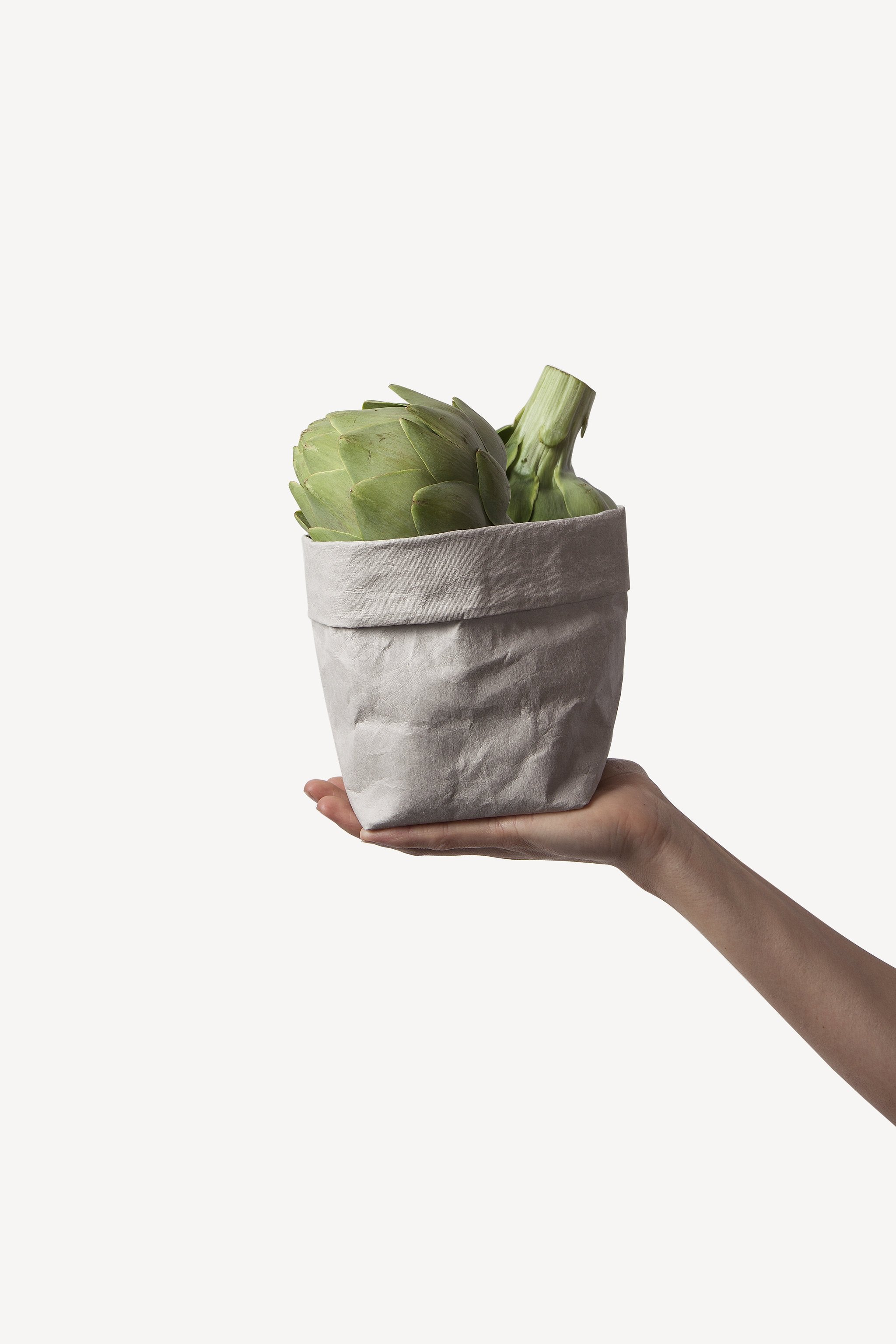 generatie Bejaarden Nat Small Washable Paper Bag - All Colors – Hygge Life