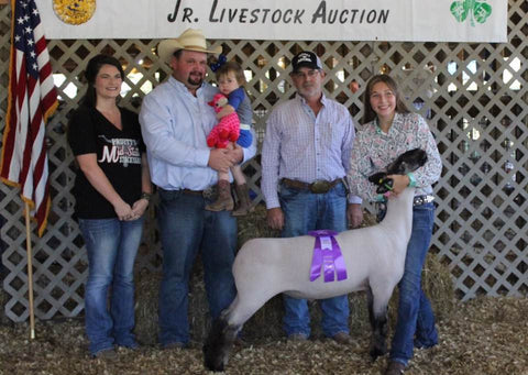 van buren county fair