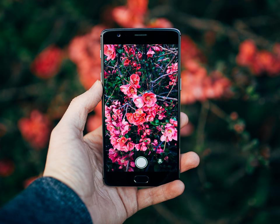 Tech Savvy Gardener The 10 Best Gardening Apps You Should Try Now