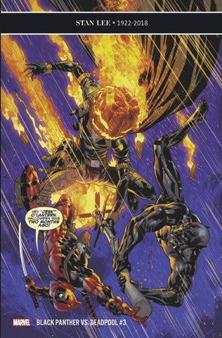 BLACK PANTHER VS DEADPOOL #3 (OF 5) 12/19/2018