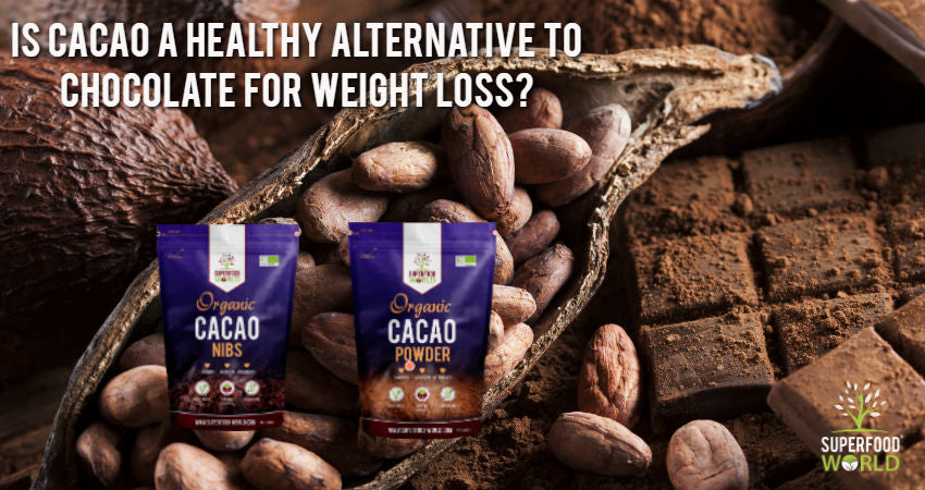 Is Cacao a healthy alternative to chocolate for weight loss?