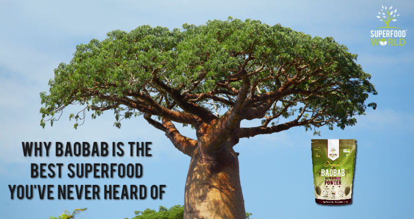 Why Baobab is the Best Superfood You've Never Heard Of