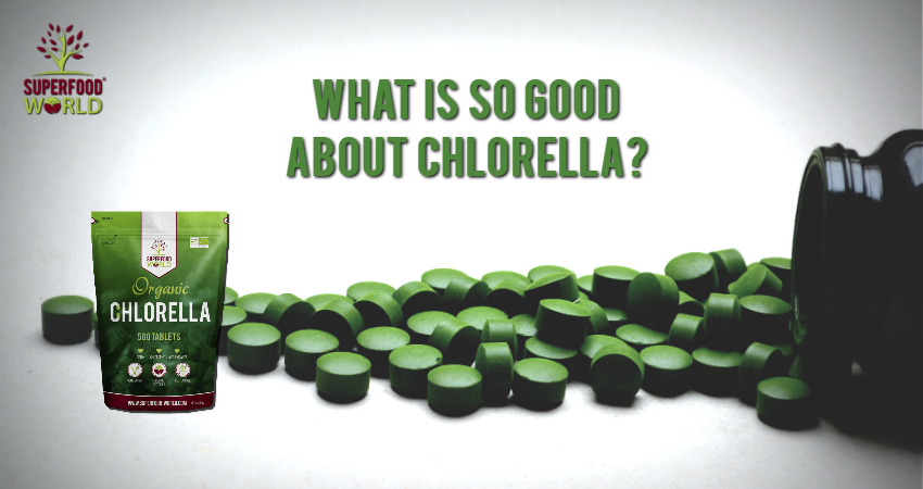 Chlorella