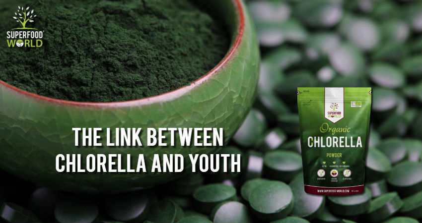 The Link Between Chlorella and Youth