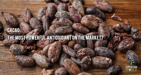 cacao powerful antioxidant