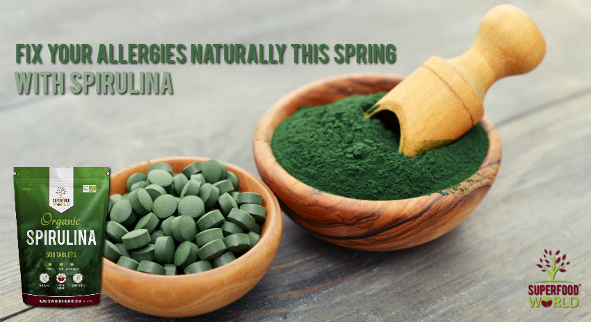 Fix Allergies Naturally this Spring with Superfood Spirulina - Superfood World