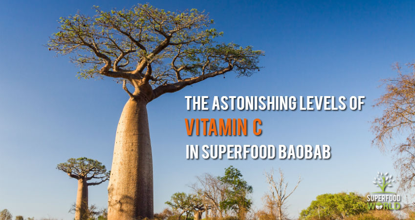 Baobab-superfood