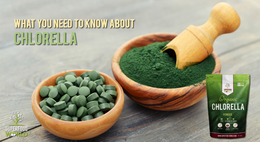 what you need to know about chlorella