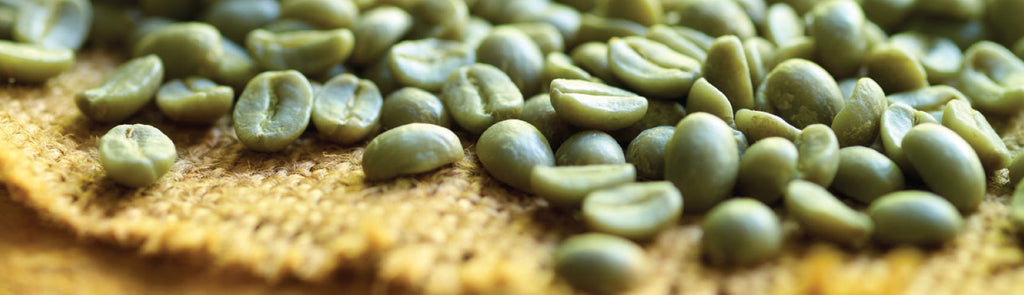 Ethiopian Yirgacheffe green coffee beans