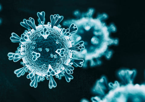 Coronavirus COVID-19 Virus
