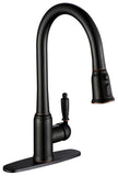 Black Pull-Down Kitchen Faucet