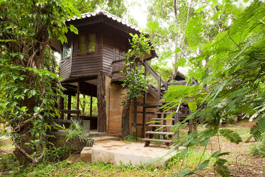 Chiang Mai Treehouse in Chiang Mai, Thailand - Tree Houses for Rent on Airbnb