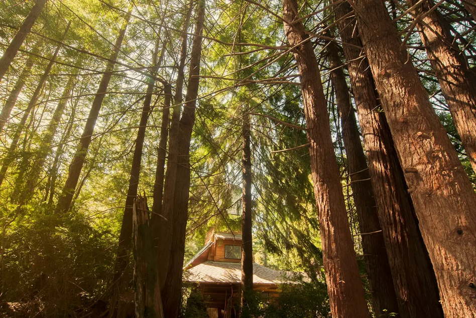 Water Tower Loft Cabin in Elk, California for rent on Airbnb