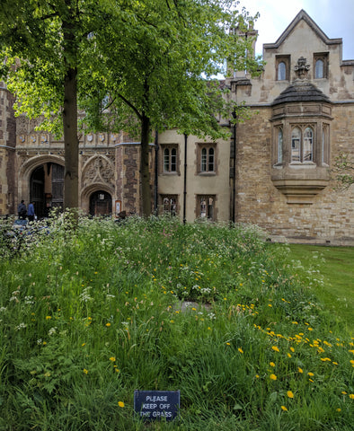 Cambridge Creatives Instagram Photowalk: Spring