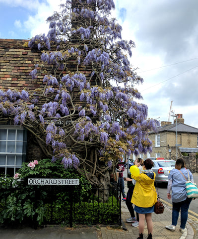 Cambridge Creatives Photowalk!