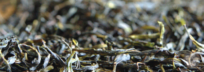 oolong tea leaves are dried after being partially oxidized