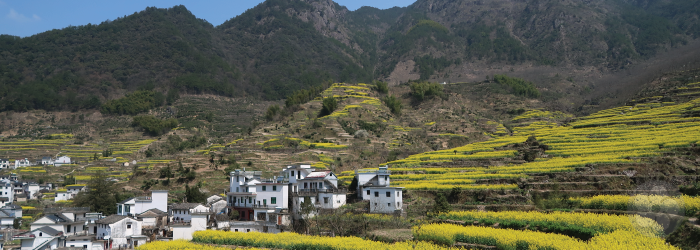 This village in green tea country looks plucked from history