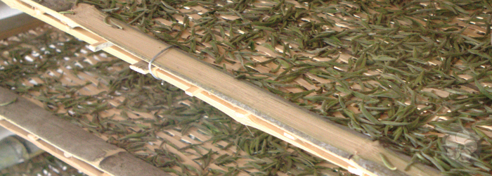 bamboo trays of drying white tea leaves are stacked for storage.